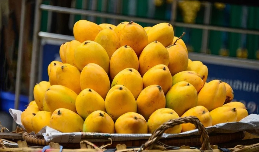 Is Mango Good for Diabetes